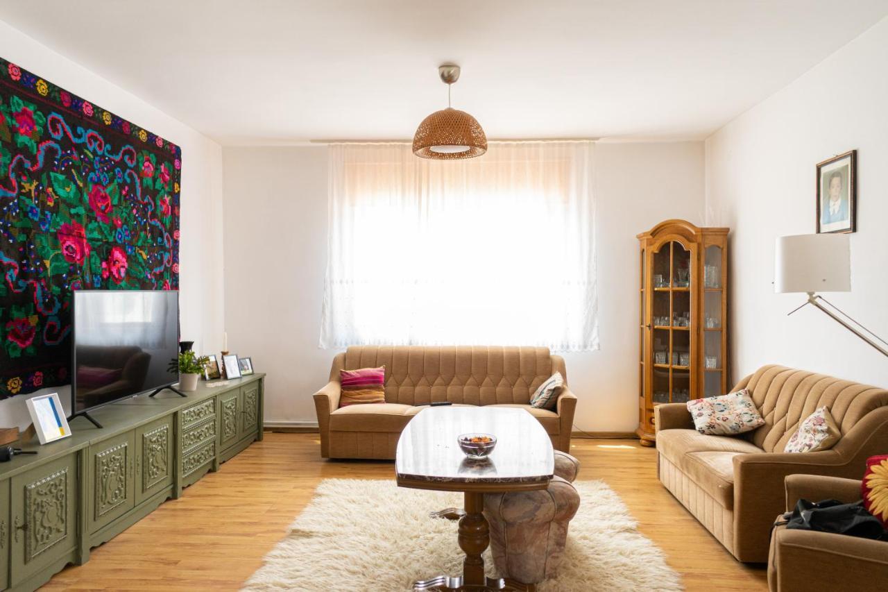 Generous Family Home Vişeu de Sus Exteriör bild