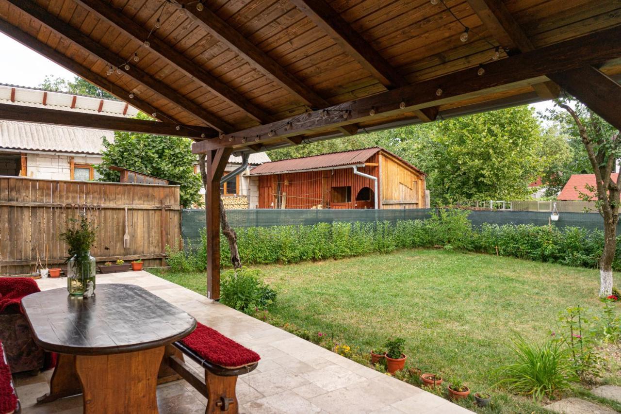Generous Family Home Vişeu de Sus Exteriör bild
