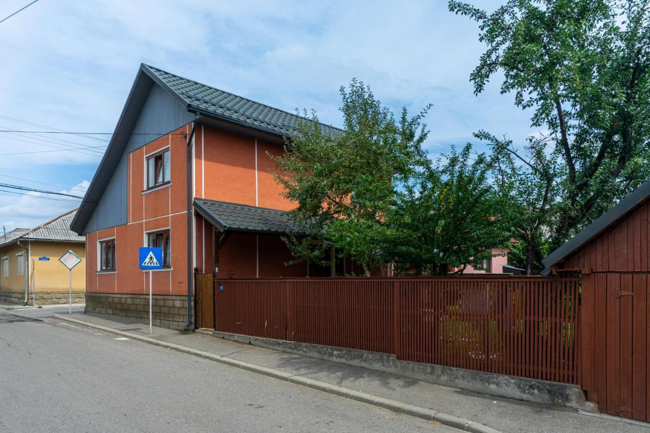 Generous Family Home Vişeu de Sus Exteriör bild